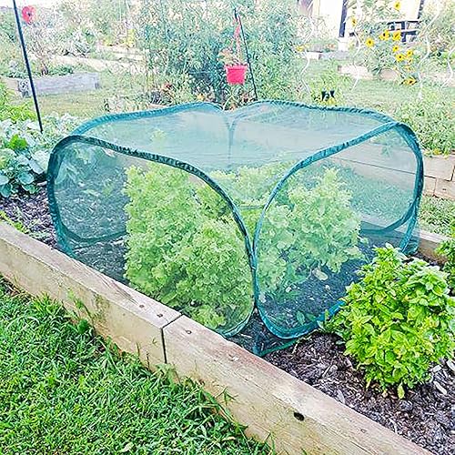 Miniatura 4 de Gardeneer by Dalen Pop-Net - Carcasa protectora portátil, ligera y resistente a la intemperie, fácil instalación, protege tus plantas contra plagas