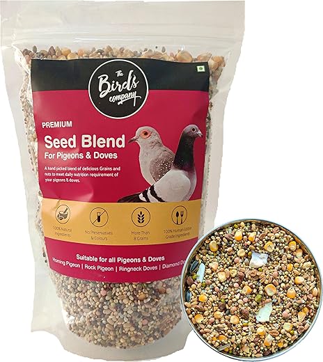 The Birds Company Premium Seed Blend of 8 Grains & Nuts, Fortified with Spirulina, Bird Food for Pigeons & Doves, 900 g