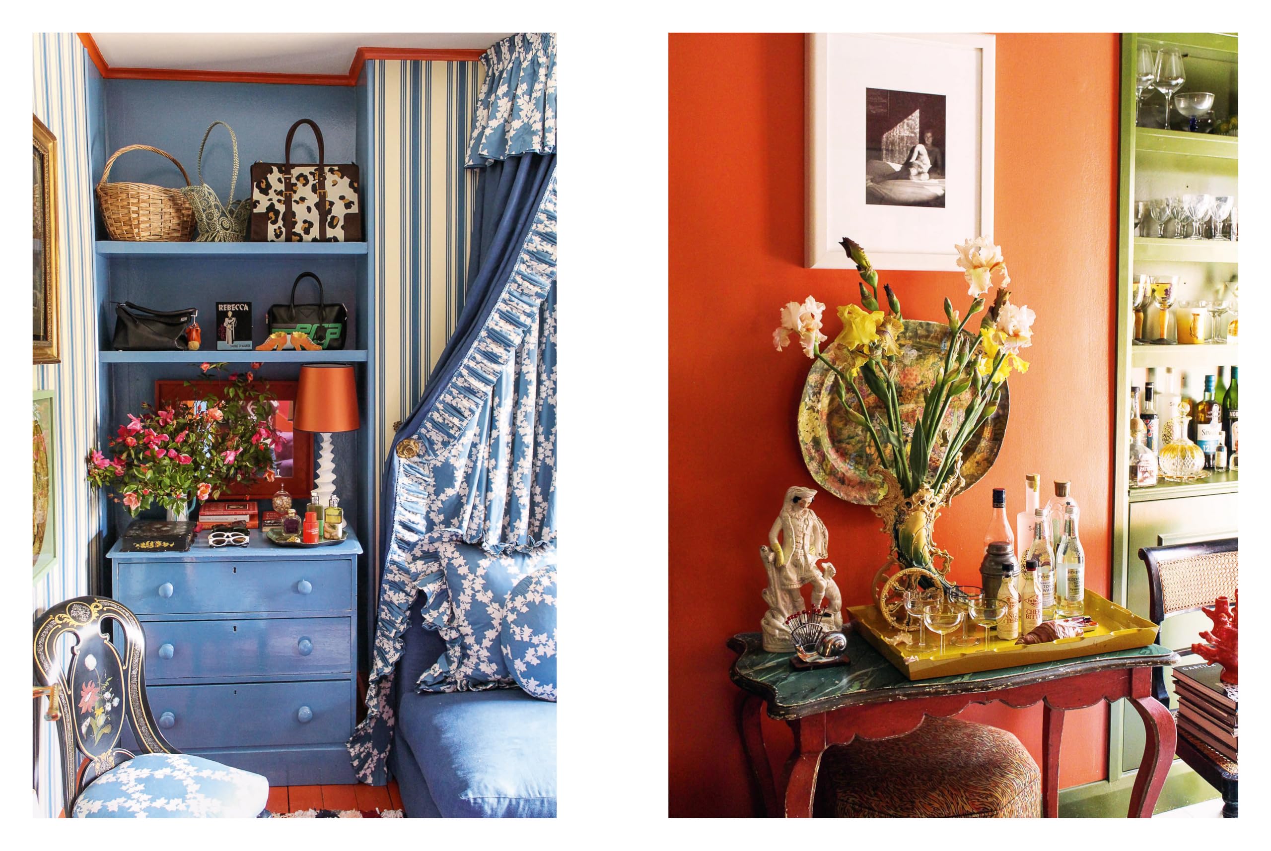 Atmosfloric: Flower colour in home and garden