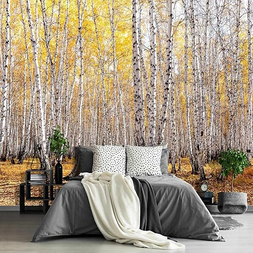 Fightal - Papel tapiz de bosque de abedul otoñal, para sala de estar, paisaje paranormal, paisaje, selva, dormitorio, sofá, 108 x 75 pulgadas (no se