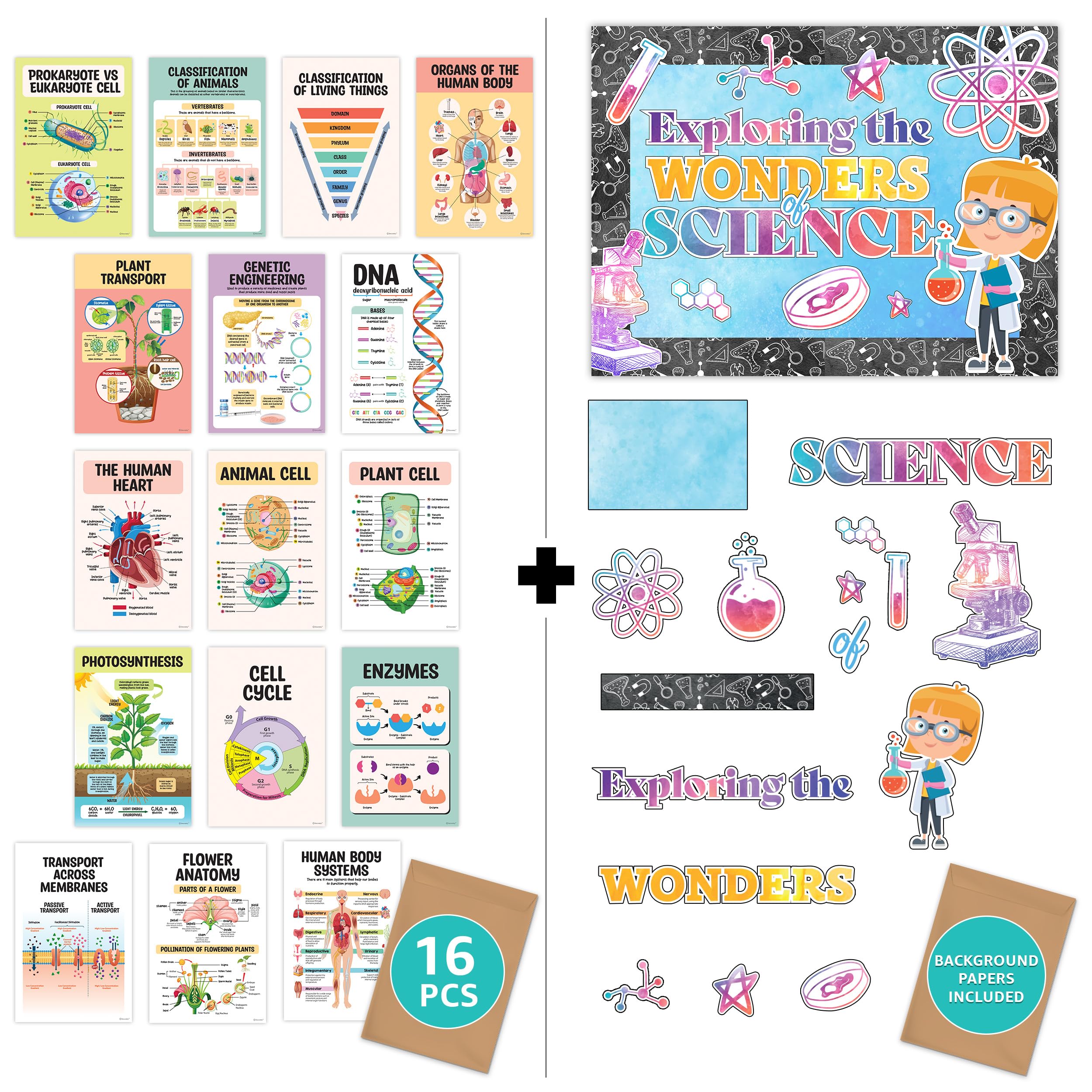 Decorably Science Biology Posters for Classroom and Science Bulletin Board Decorations Set for Classroom