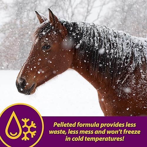 Miniatura 6 de Farnam Horse Health - Gránulos de glóbulos rojos, suplemento de vitaminas y hierro y minerales para caballos, ayuda a llenar importantes lagunas