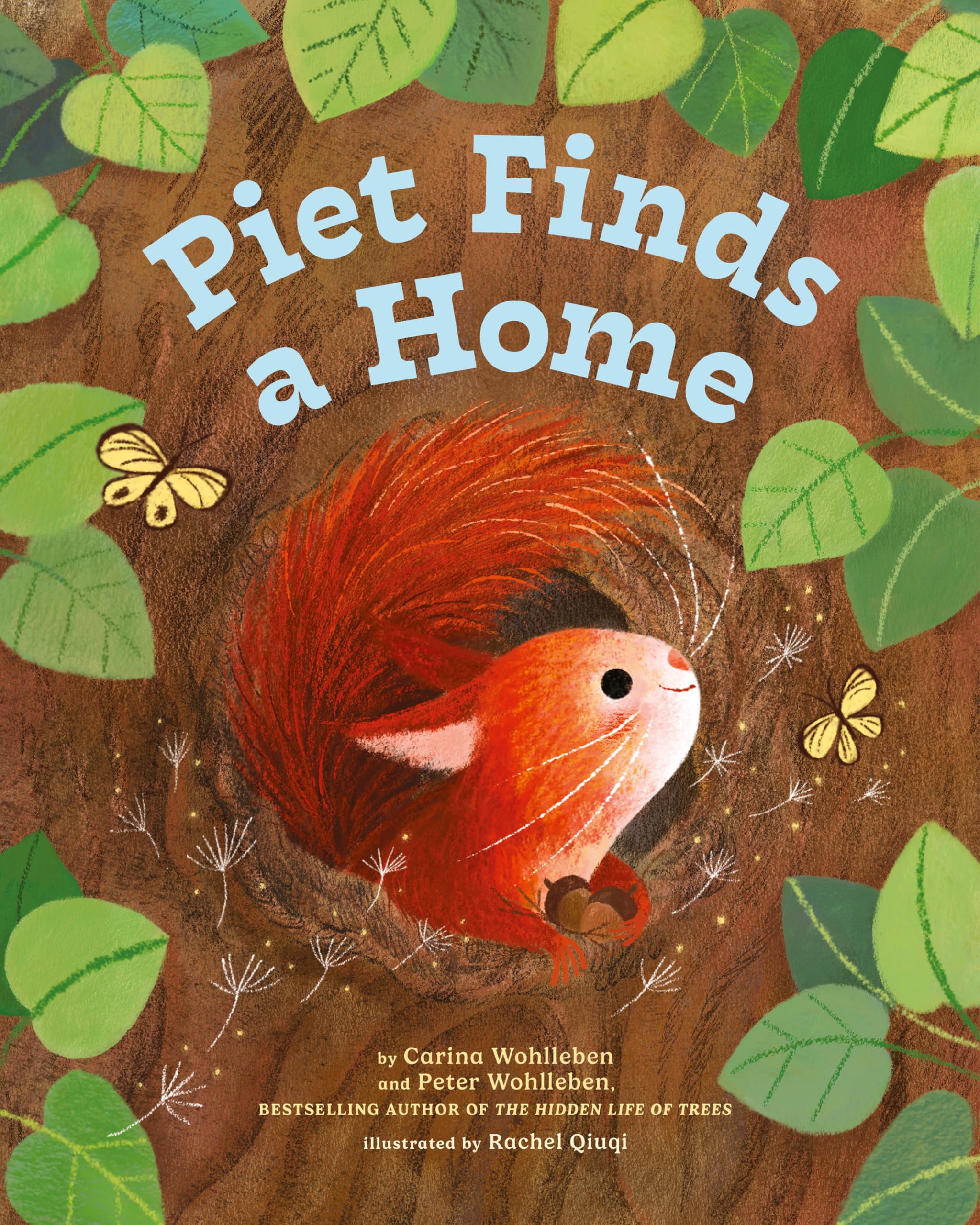 Piet Finds A Home: 2 (Peter and Piet, 2)