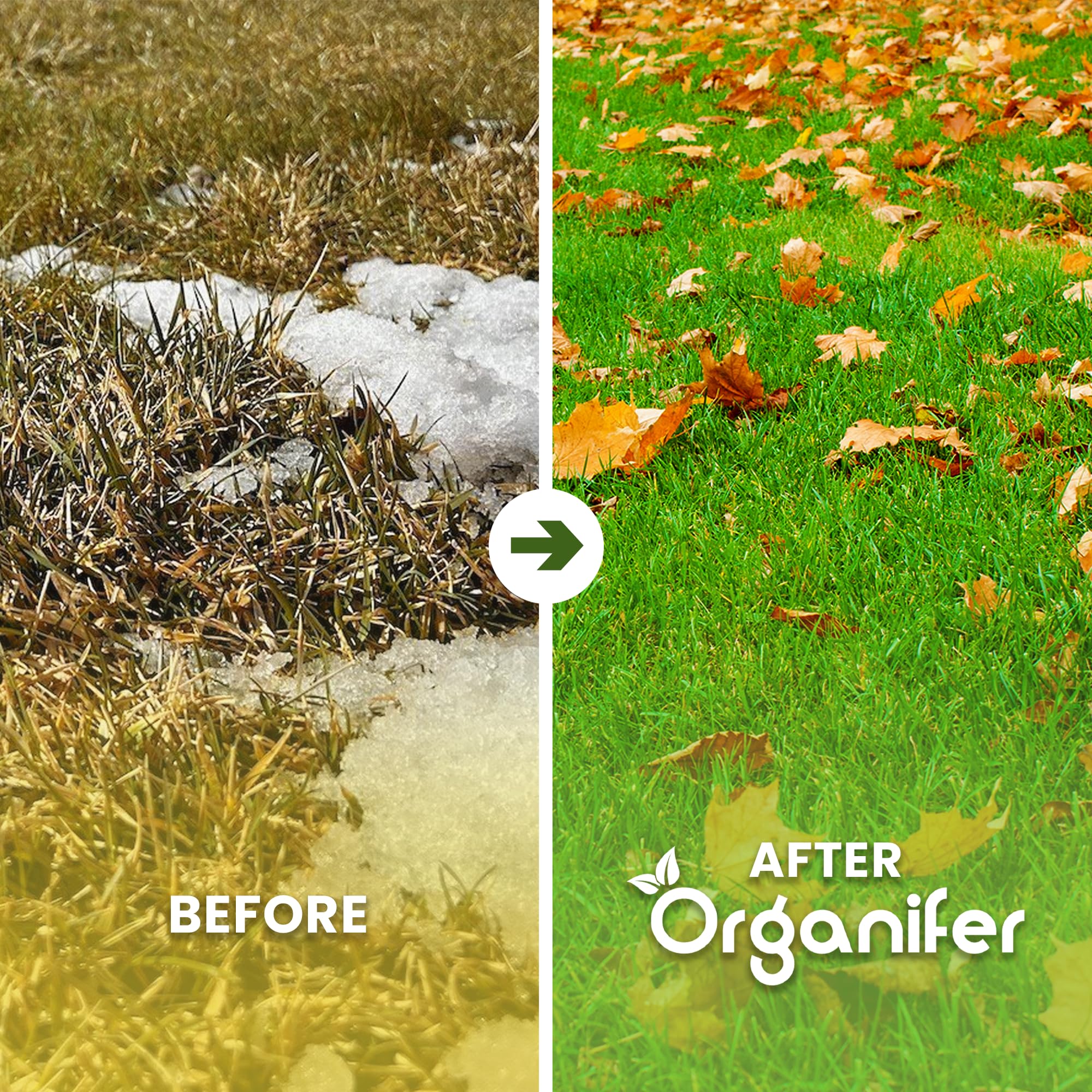 Fertilizante De Otoño Universal - 5kg = 100m2 | Rico En Potasio - Abono De Otoño - Abono Para Césped - Aumenta La Resistencia Del Césped A Las Heladas - Sequía - Organifer