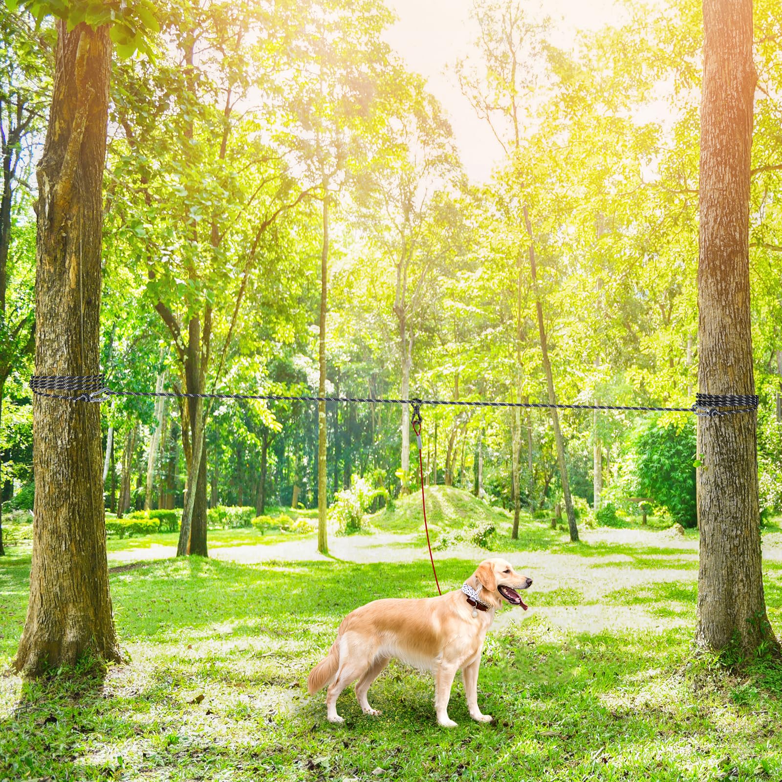 XiaZ Guinzaglio da campeggio per cani, 30,5 m, portatile, per cani fino a 90,7 kg, cavo per legare il cane, campeggio, parchi, eventi all'aperto, installazione in 5 minuti, nero