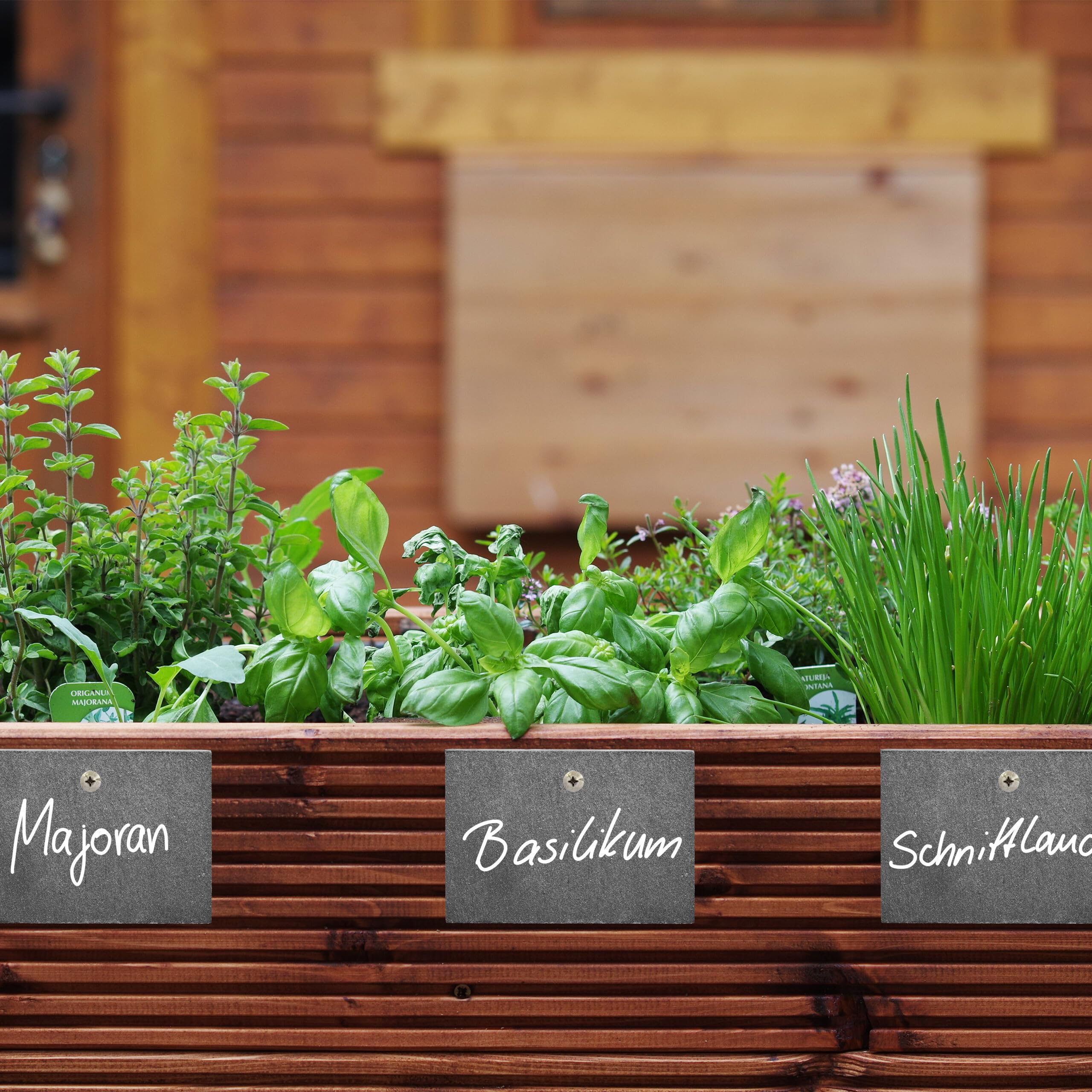 Targhette Piante, Set 10 Lavagnette per Erbe Aromatiche, Giardino e Orto, Cartellini in Ardesia, Antracite, Relaxdays Targhette Piante, Set 10 Lavagnette per Erbe Aromatiche, Giardino e Orto, Cartellini in Ardesia, Antracite, Relaxdays