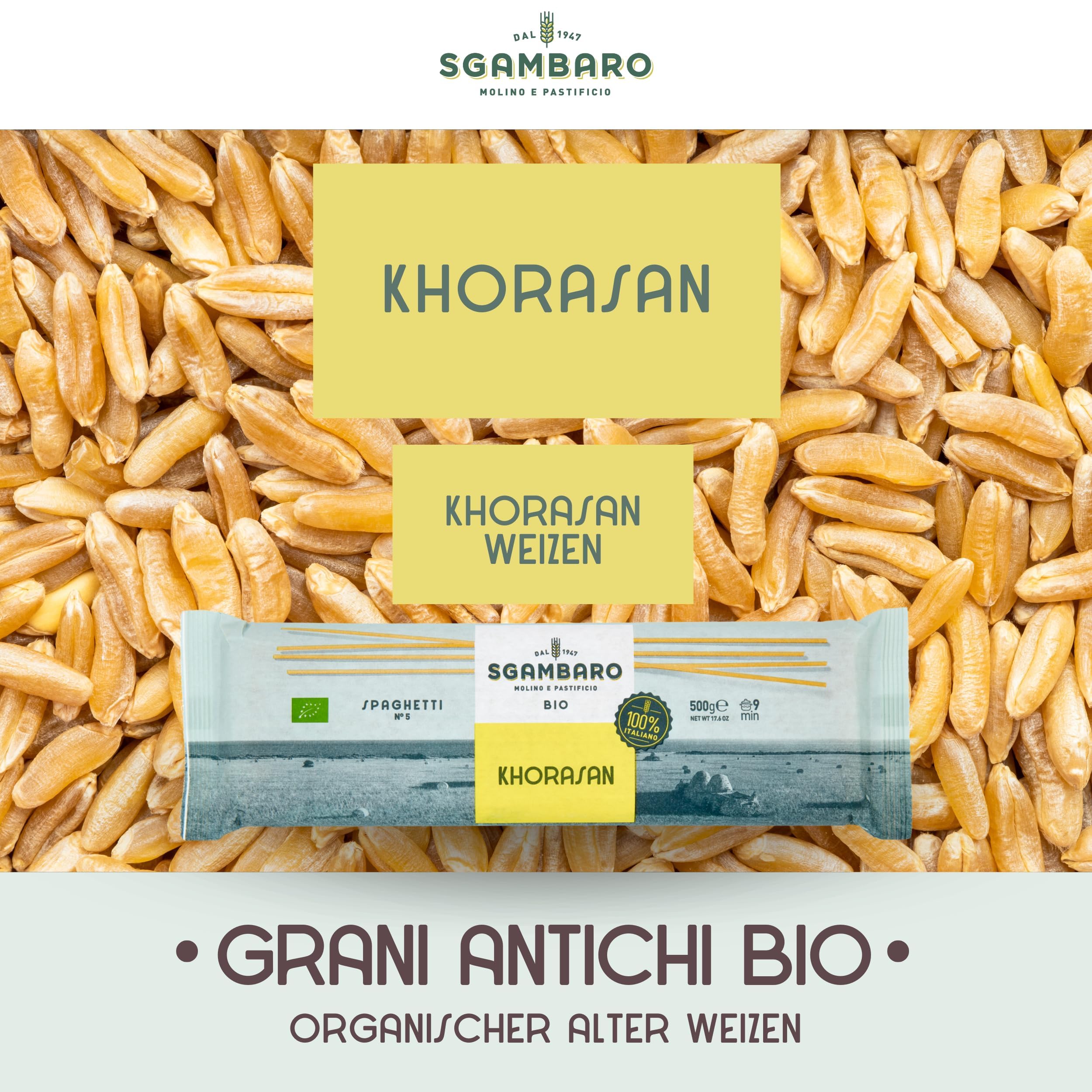 Sgambaro Bio Pasta Spaghetti N.5-12 x 500 g aus Khorasan-Weizen – Antiker, proteinreicher Weizen, 100% italienischer Anbau – Vielseitig in der Küche und nährstoffreich