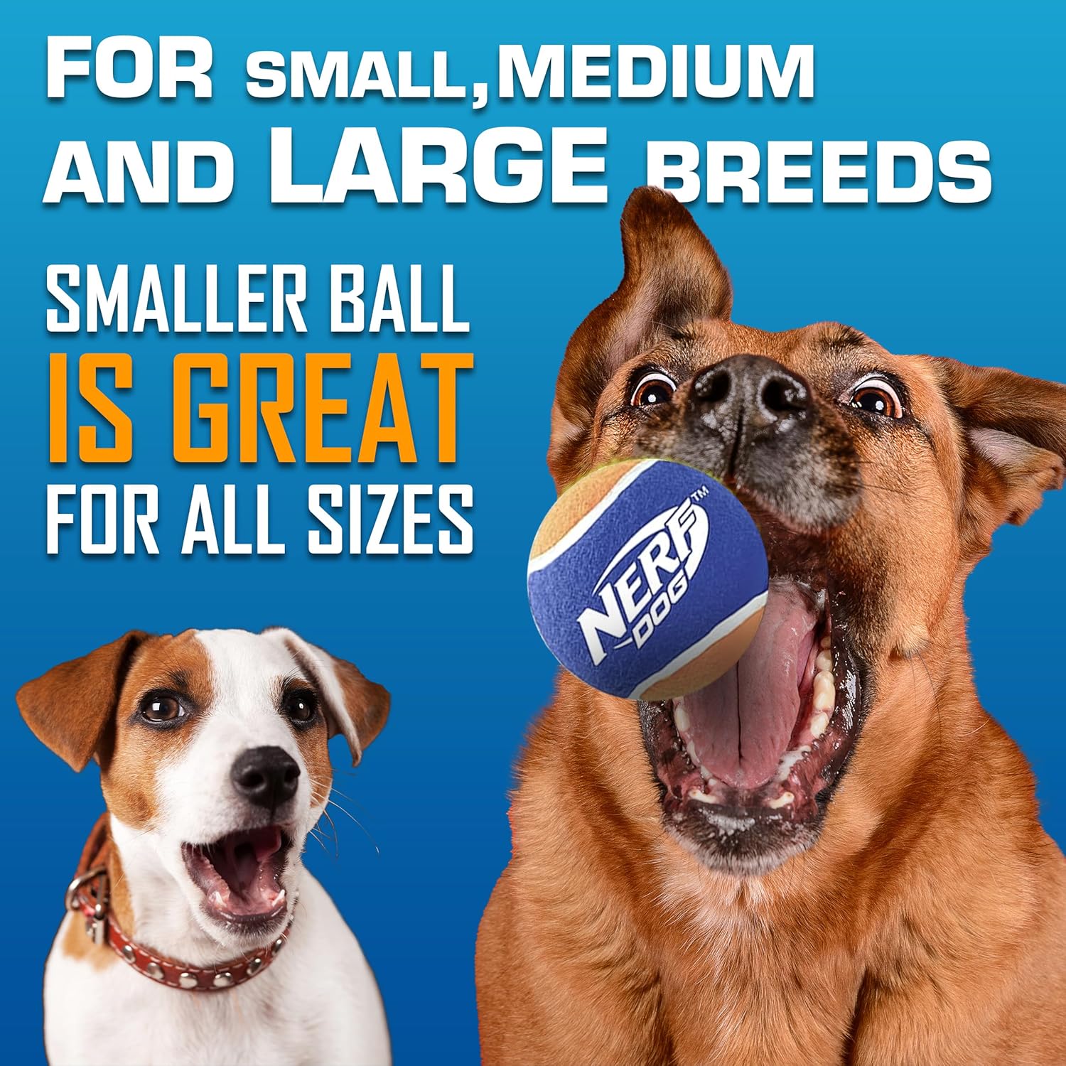 Nerf Dog Tennis Ball Blaster Dog Toy Gift Set, Tennis Ball Dog Fetch Toy Launches up to 50 ft, Dog Ball Thrower for All Breeds Includes Green Tennis Ball Launcher and 3 Dog Tennis Balls