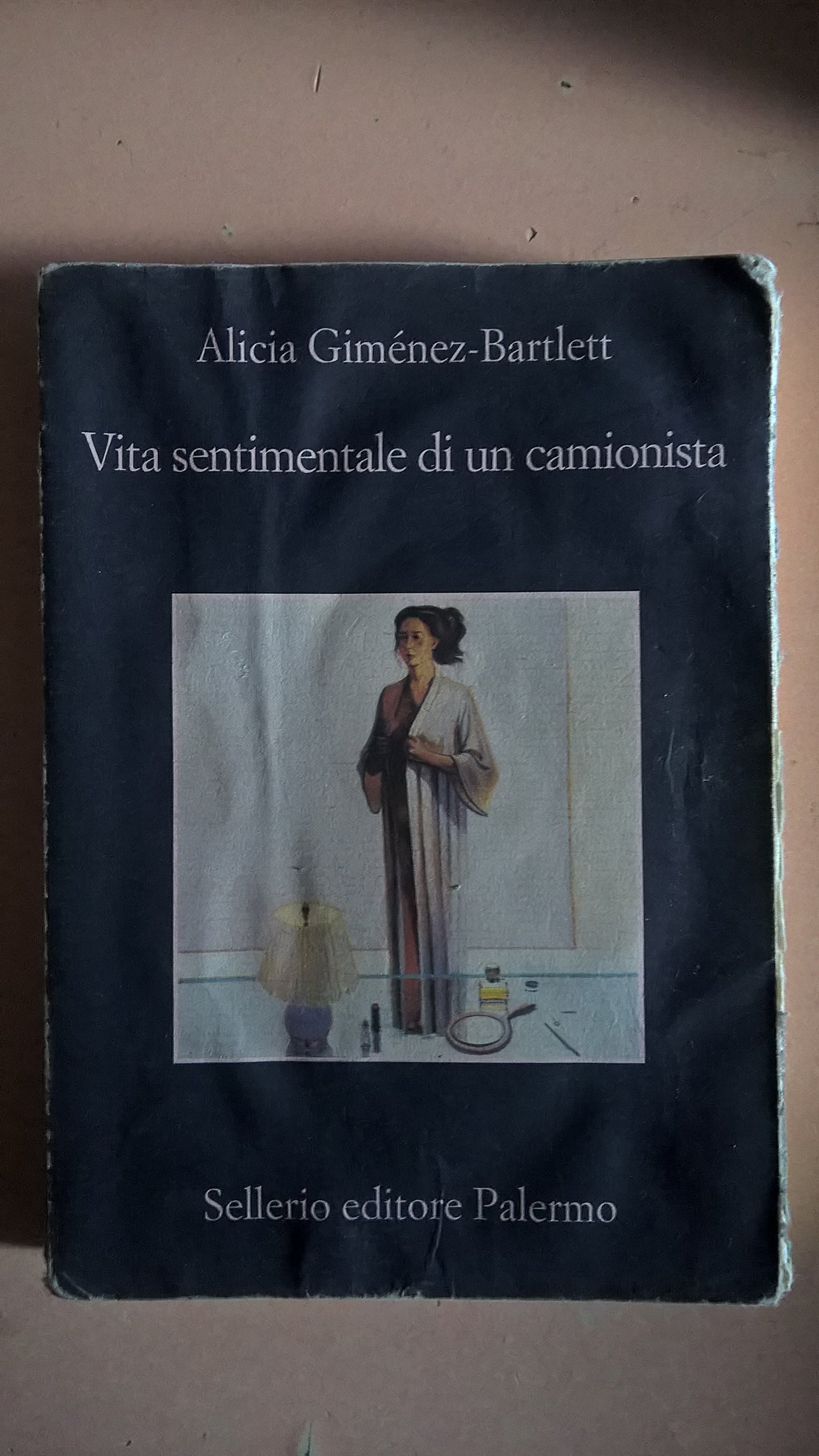Vita sentimentale di un camionista