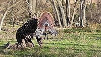 Vista 8 de MOJO Outdoors Turkey Hunting Decoys and Accessories