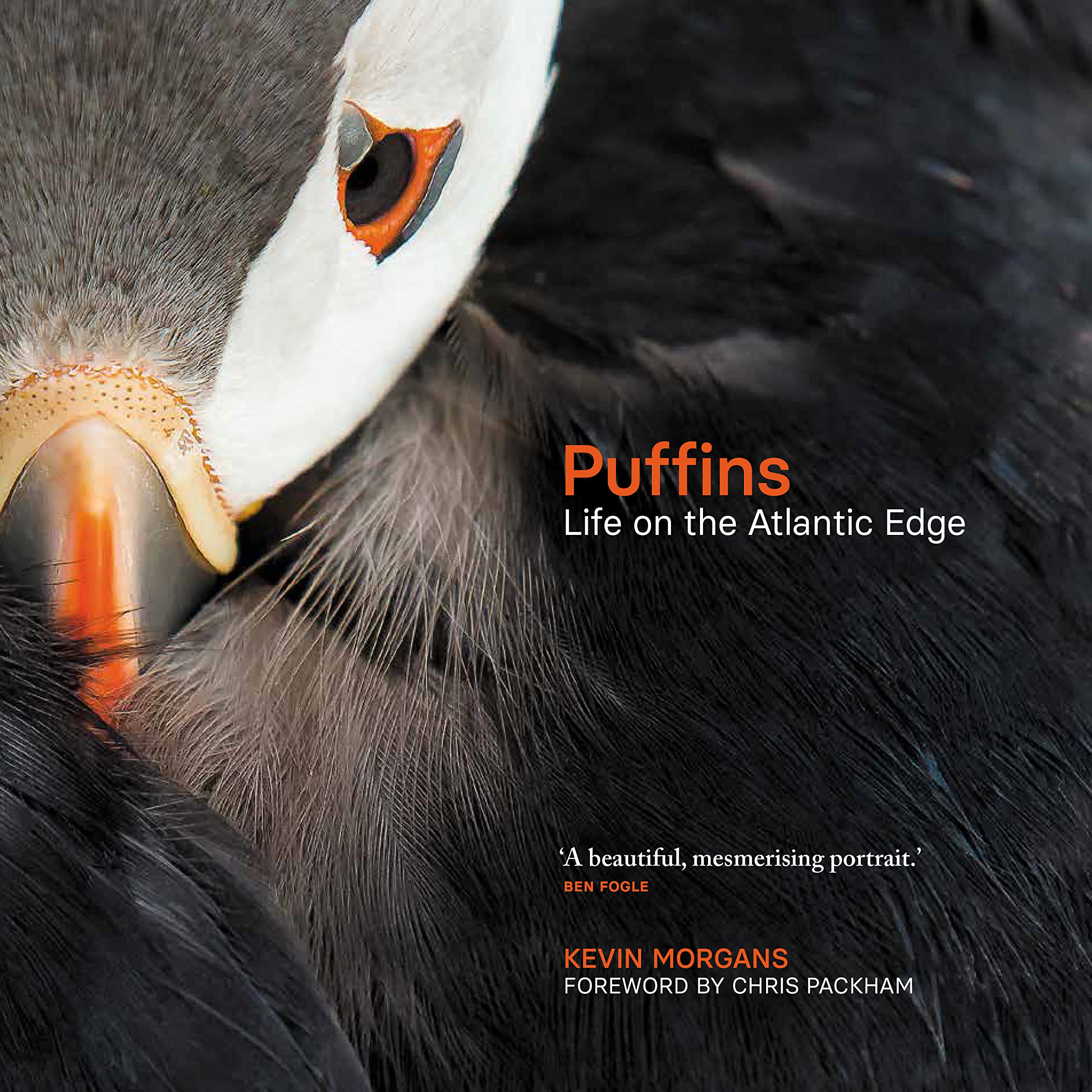 Puffins Life on the Atlantic Edge by Kevin Morgans (Hardback Book)