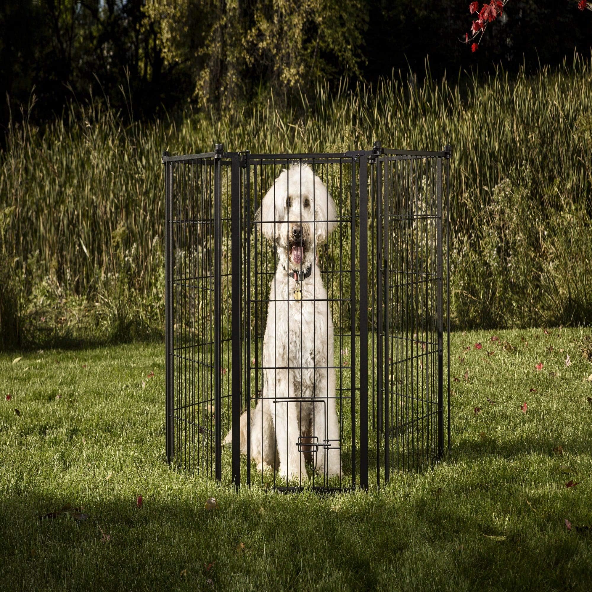 Carlson Outdoor Super Wide Extra Tall Pet Pen and Gate