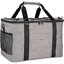 Amazon Basics Soft Insulated Cooler