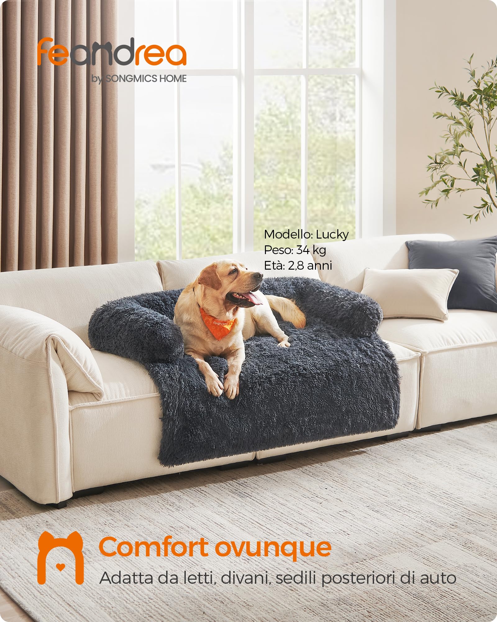 Feandrea FluffyHug Cuccia per Cani di Peluche, Tappeto Copridivano per Animali, Divano per Cani, XXL, per cani grandi, 122 x 95 x 18 cm, Grigio Scuro PGW224G02