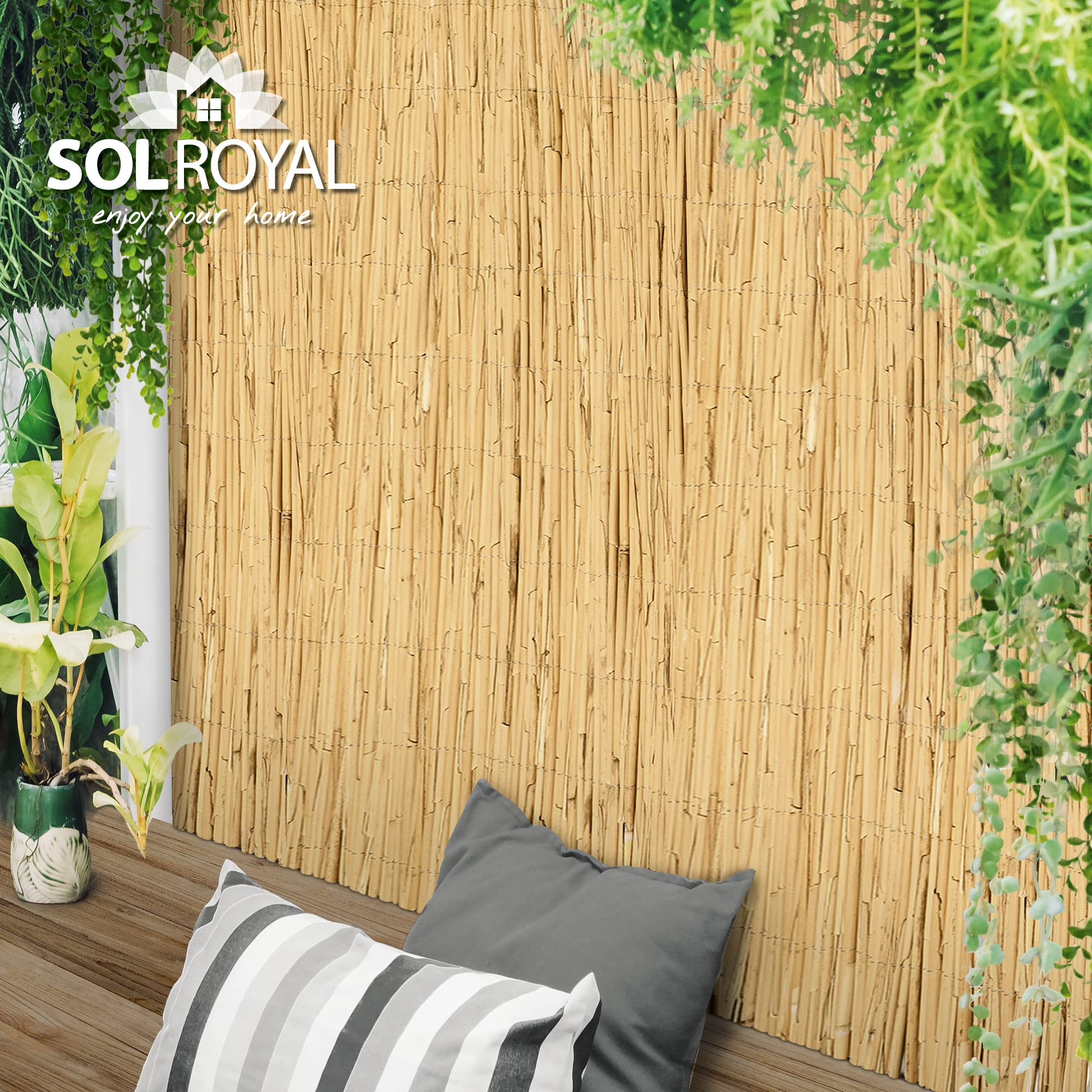 Sol Royal Schilfmatten Sichtschutz Zaun 140x600 cm SolVision S36 – langlebiger & witterungsbeständiger 100% Schilfrohrmatte Indoor & Outdoor für Balkon, Terrasse, Garten – Windschutz & Sonnenschutz