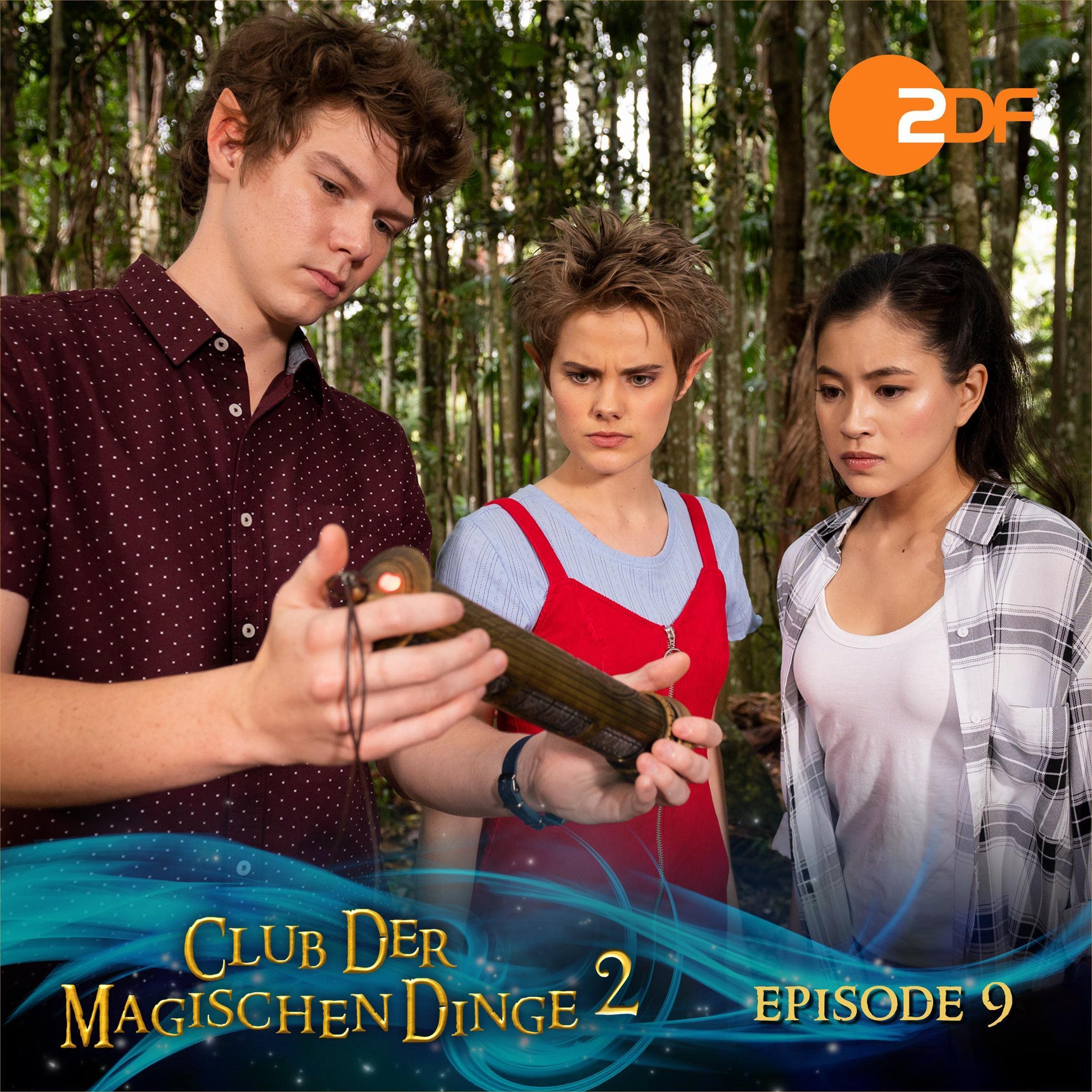 Cover art for Reise in die Vergangenheit. Das Original-Hörspiel zur TV-Serie