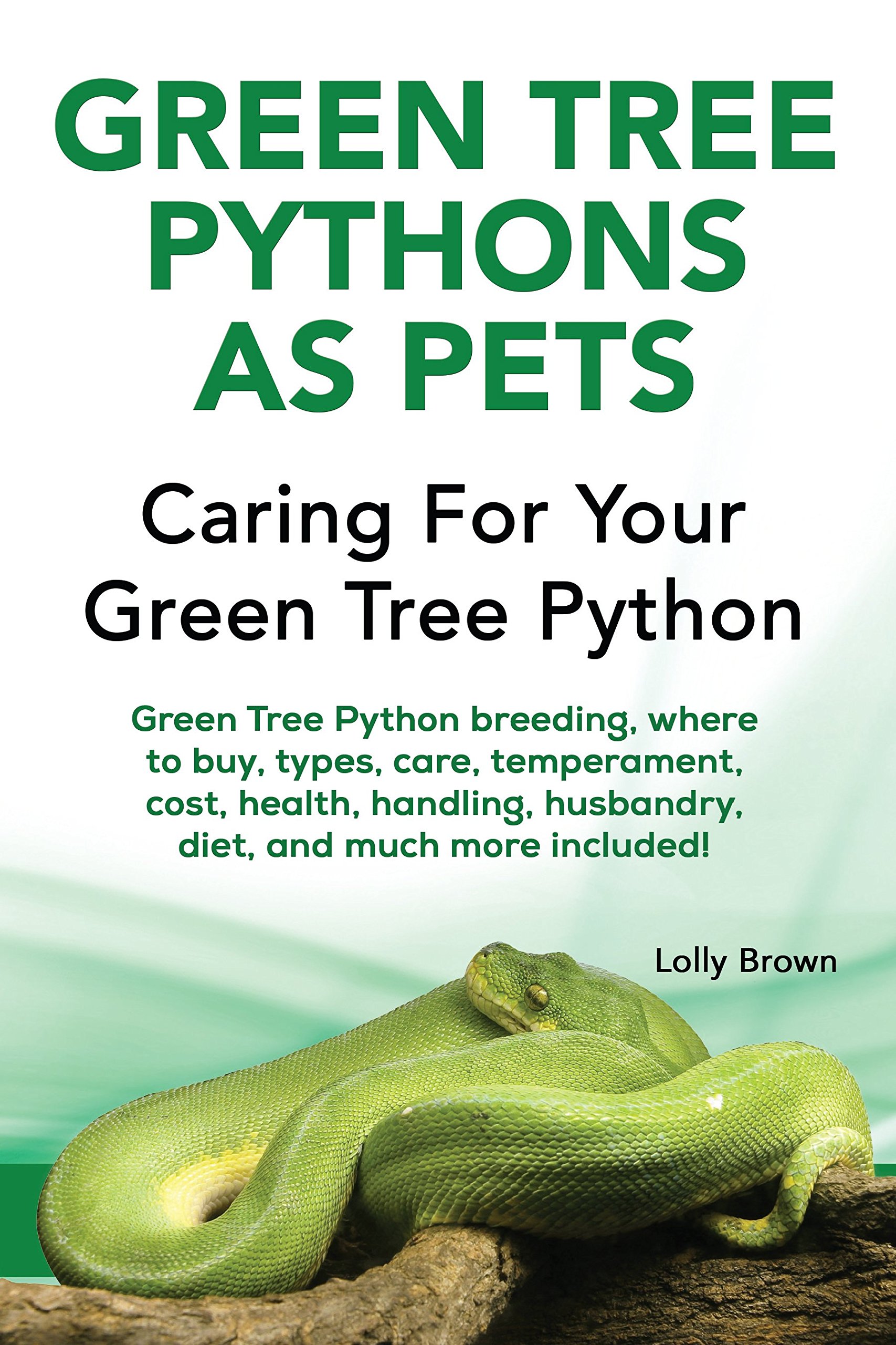 Green Tree Pythons as Pets: Green Tree Python breeding, where to buy, types, care, temperament, cost, health, handling, husbandry, diet, and much more included! Caring For Your Green Tree Python