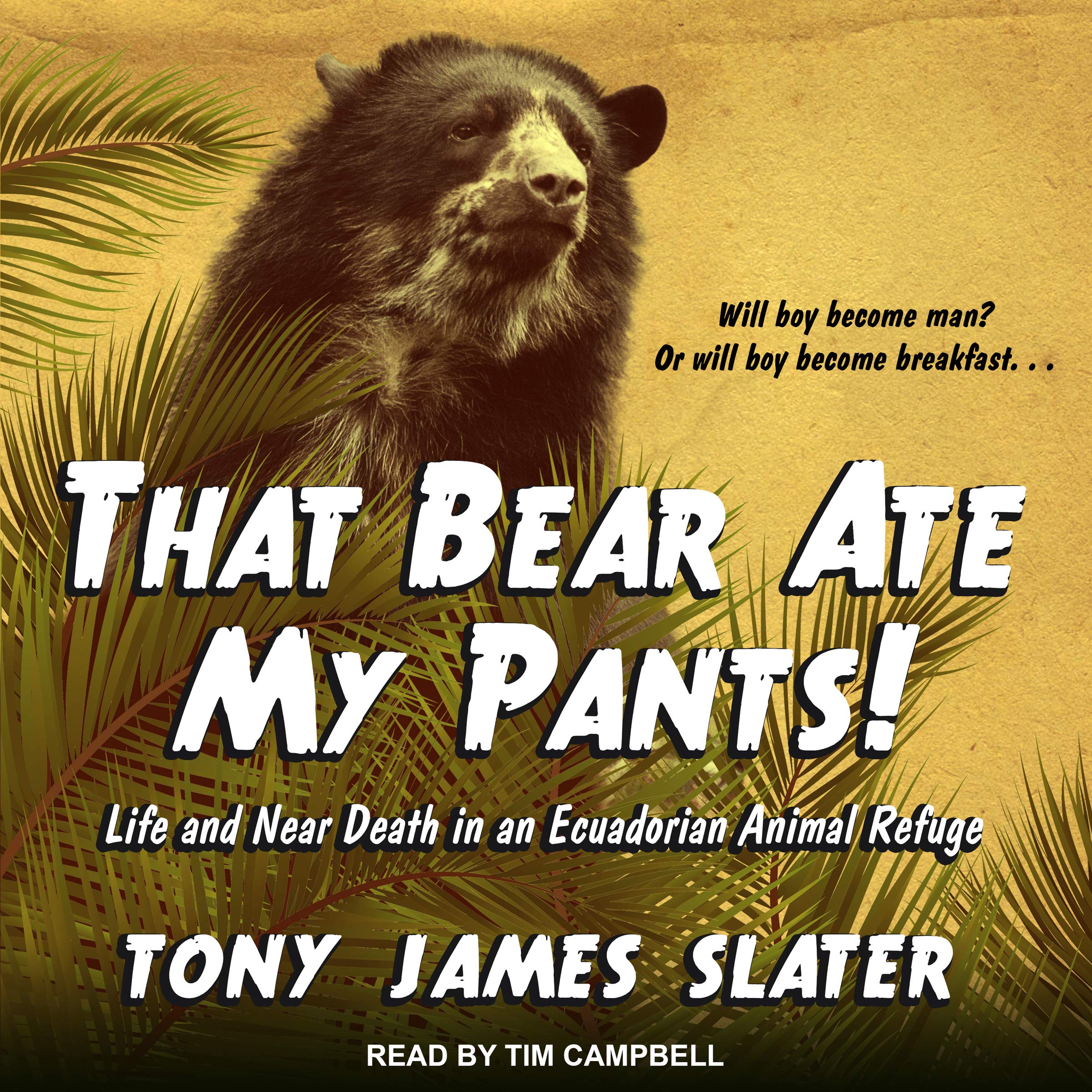 Cover art for That Bear Ate My Pants!