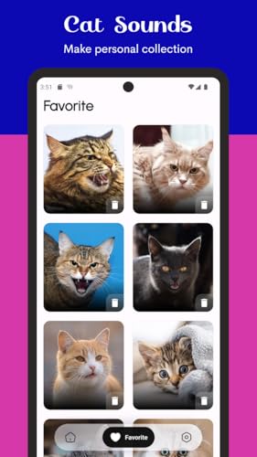 Cat Sounds: Meows, Purrs, and Kitty Calls