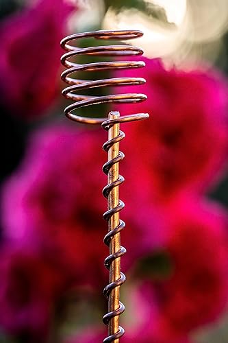 Miniatura 3 de Electroculture Grows - Juego de 5 estacas de cobre sólido de 18 pulgadas de largo, envueltas con cobre sólido puro