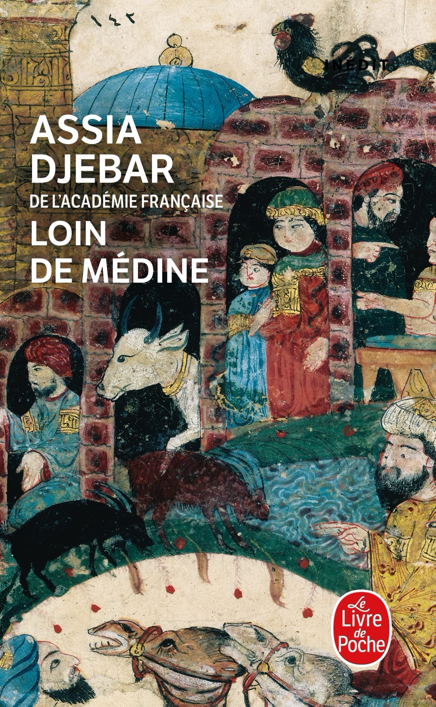 Loin De Medine (Ldp Litterature)
