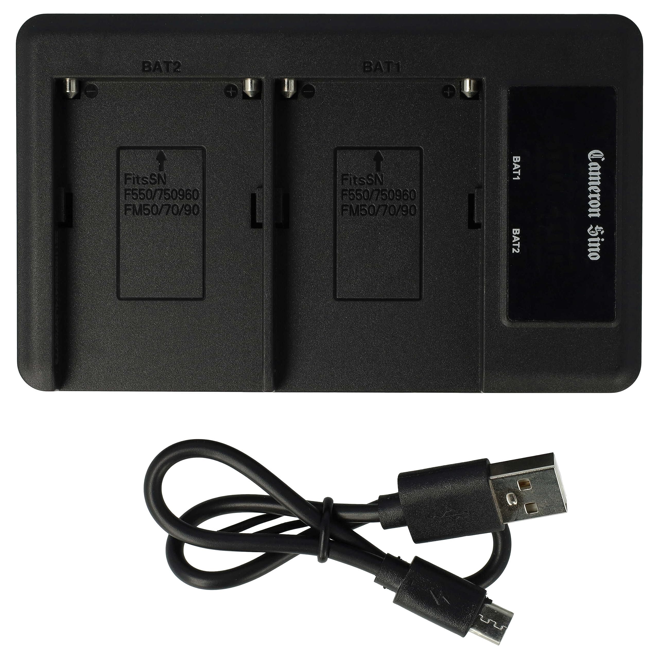 vhbw Chargeur Double Compatible avec Hitachi M-BPL30, VM-BPL13, VM-BPL13A, VM-BPL13J, VM-BPL27 caméra caméscope Action-cam - Station + câble Micro-USB