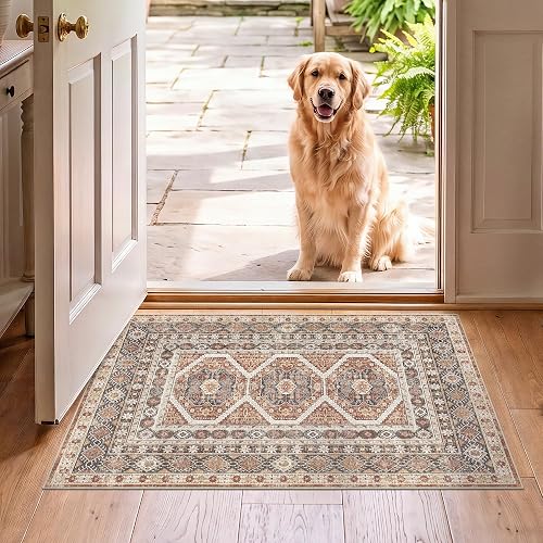 Ksrau 2x3 Washable Vintage Area Rug Brick
