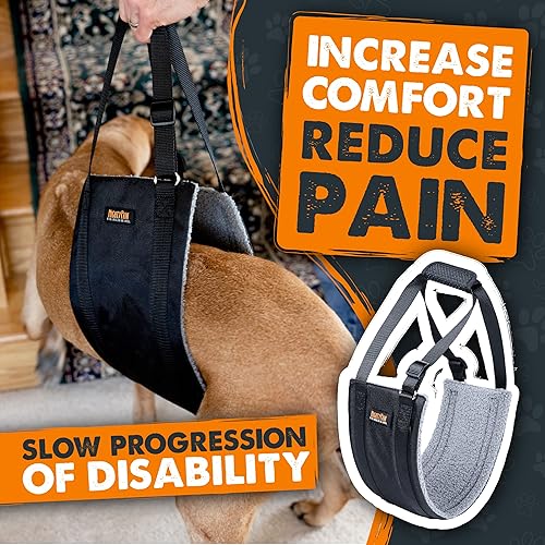 Miniatura 5 de Mighty Paw Arnés de elevación para perros  60  100 libras perro cadera y pierna trasera  Asistencia cómoda para mascotas mayores o lesionadas con