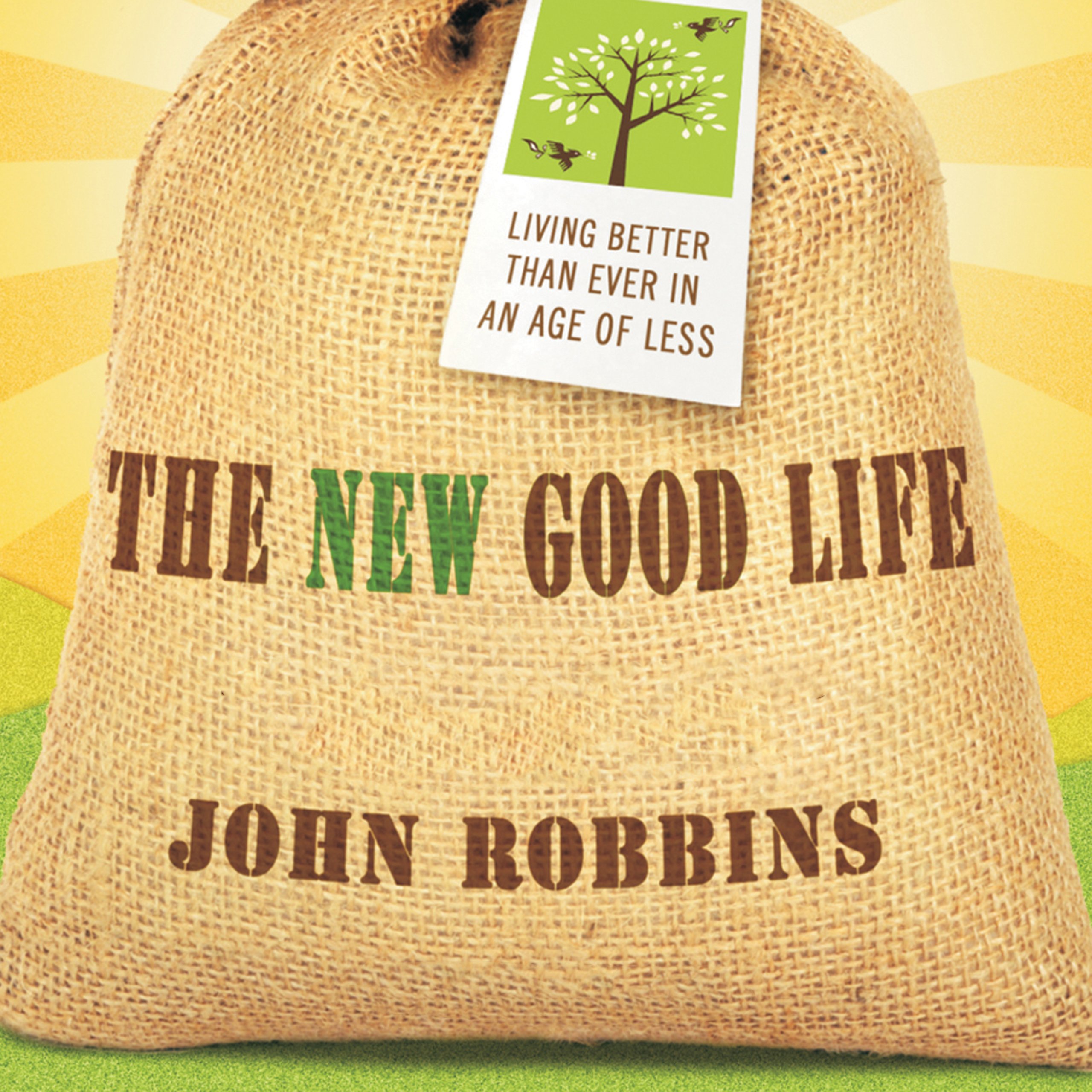 Cover art for The New Good Life
