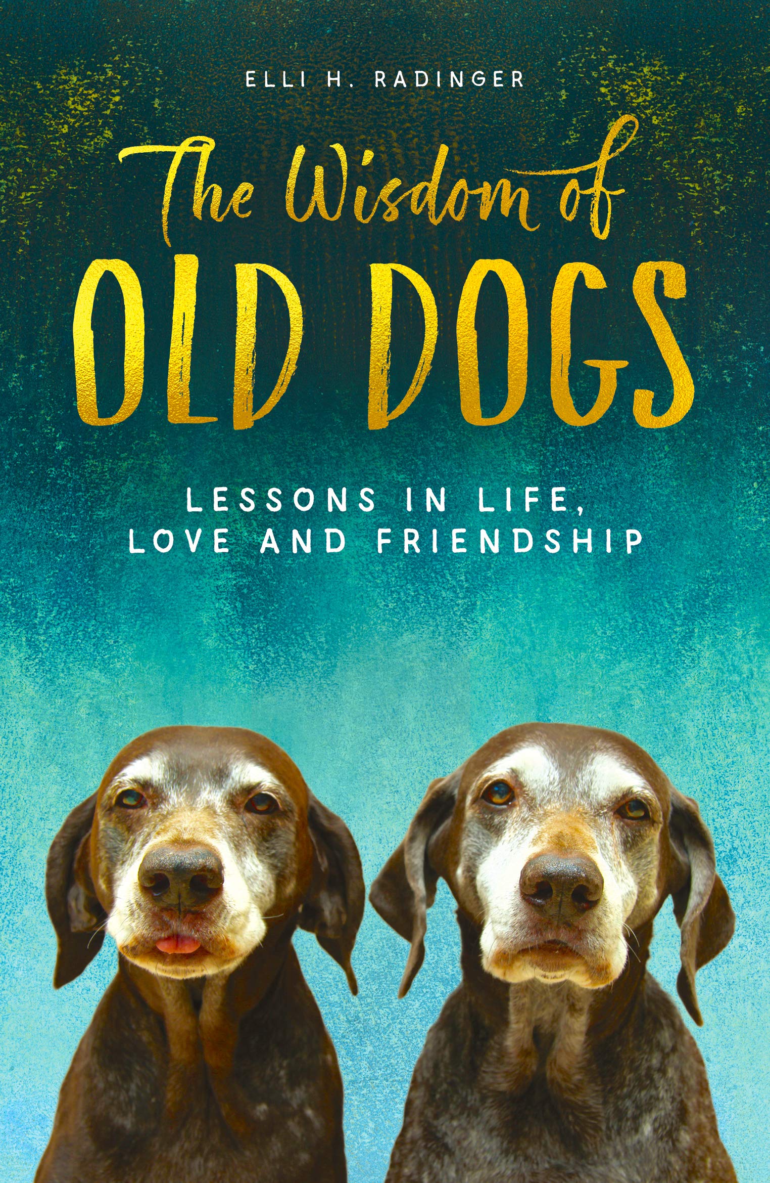 The Wisdom of Old Dogs: Lessons in life, love and friendship