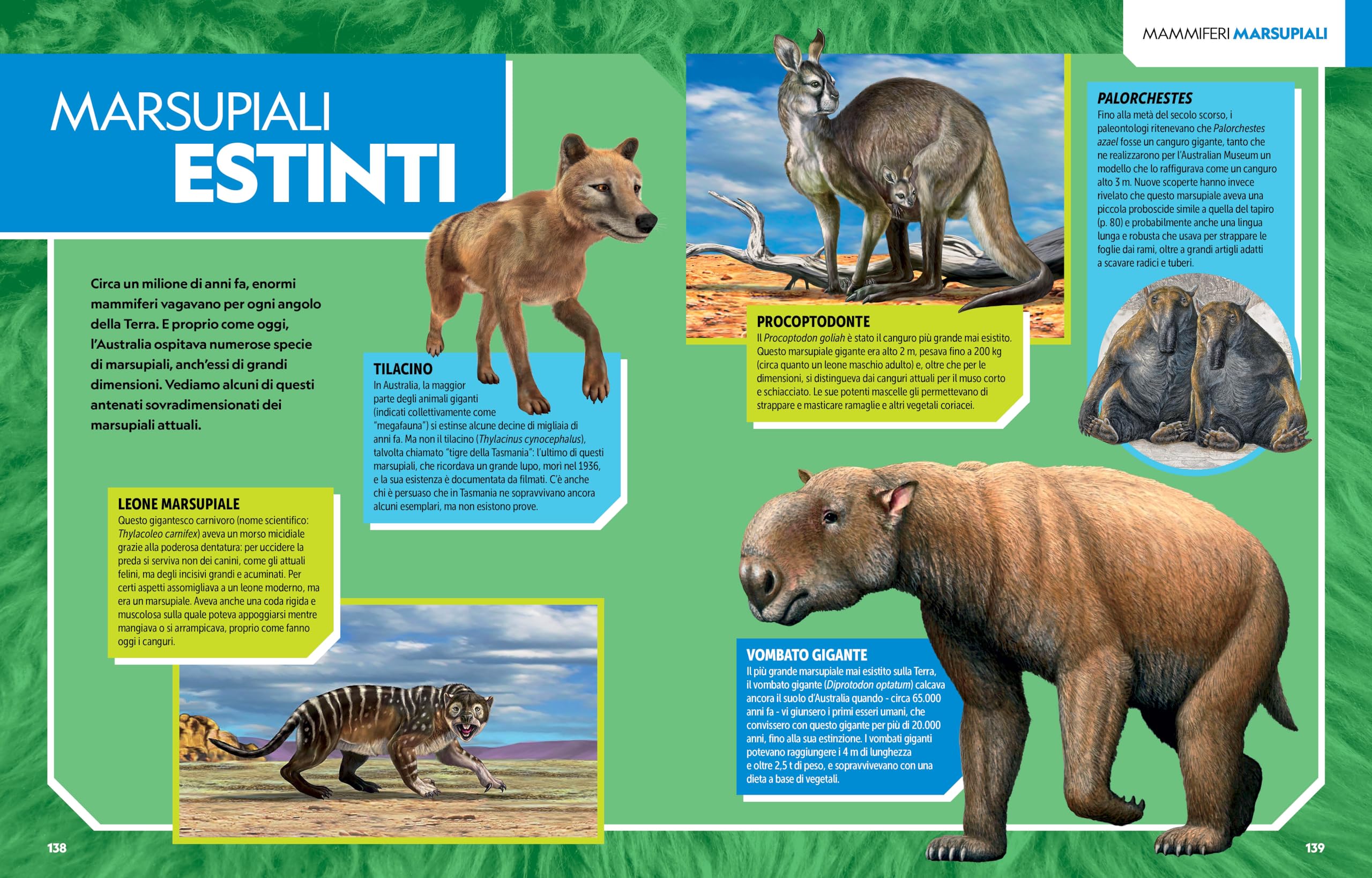 La grande enciclopedia dei mammiferi. Il più completo manuale sui mammiferi mai realizzato. Ediz. a colori