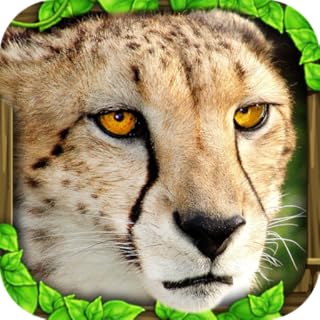 Cheetah Simulator