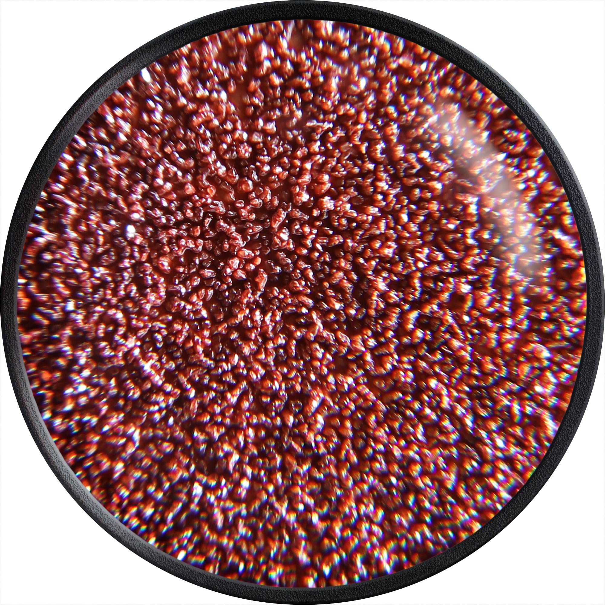 Lot de 5 bandes abrasives pour ponceuse à bande KP52F - Papier abrasif pour bois - 150 x 2600 mm - Grain 120
