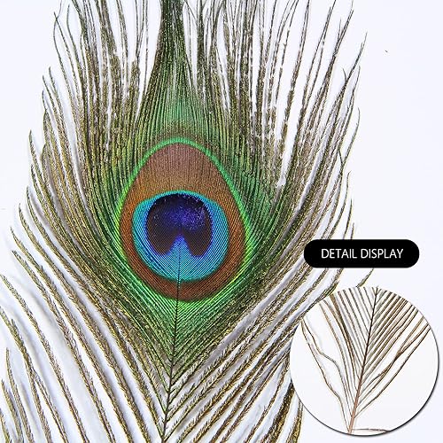 Miniatura 7 de THARAHT 12pcs pluma de pavo real natural a granel 10-12 pulgadas 9.8-11.8 in Ojo pequeño para manualidades jarrón boda fiesta hogar decoración día