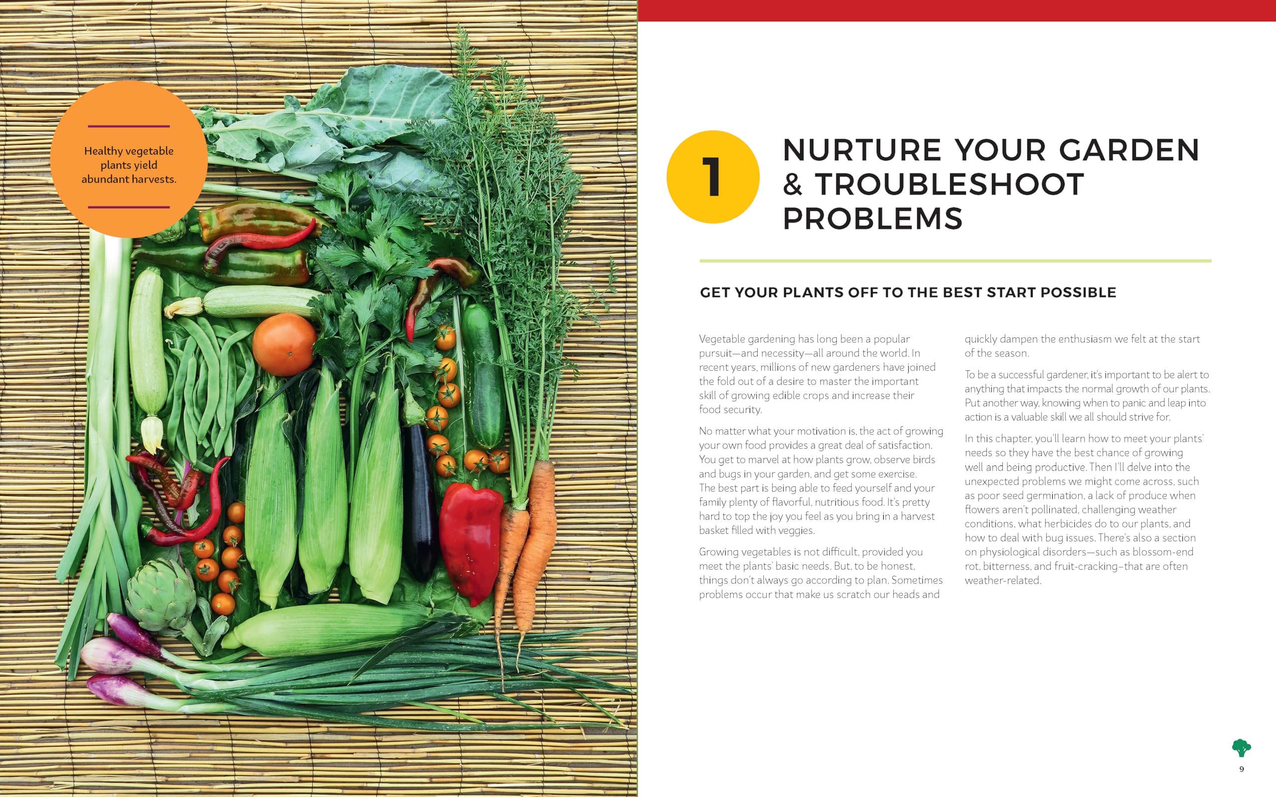 The Vegetable Garden Problem Solver Handbook: Identify and manage diseases and other common problems on edible plants