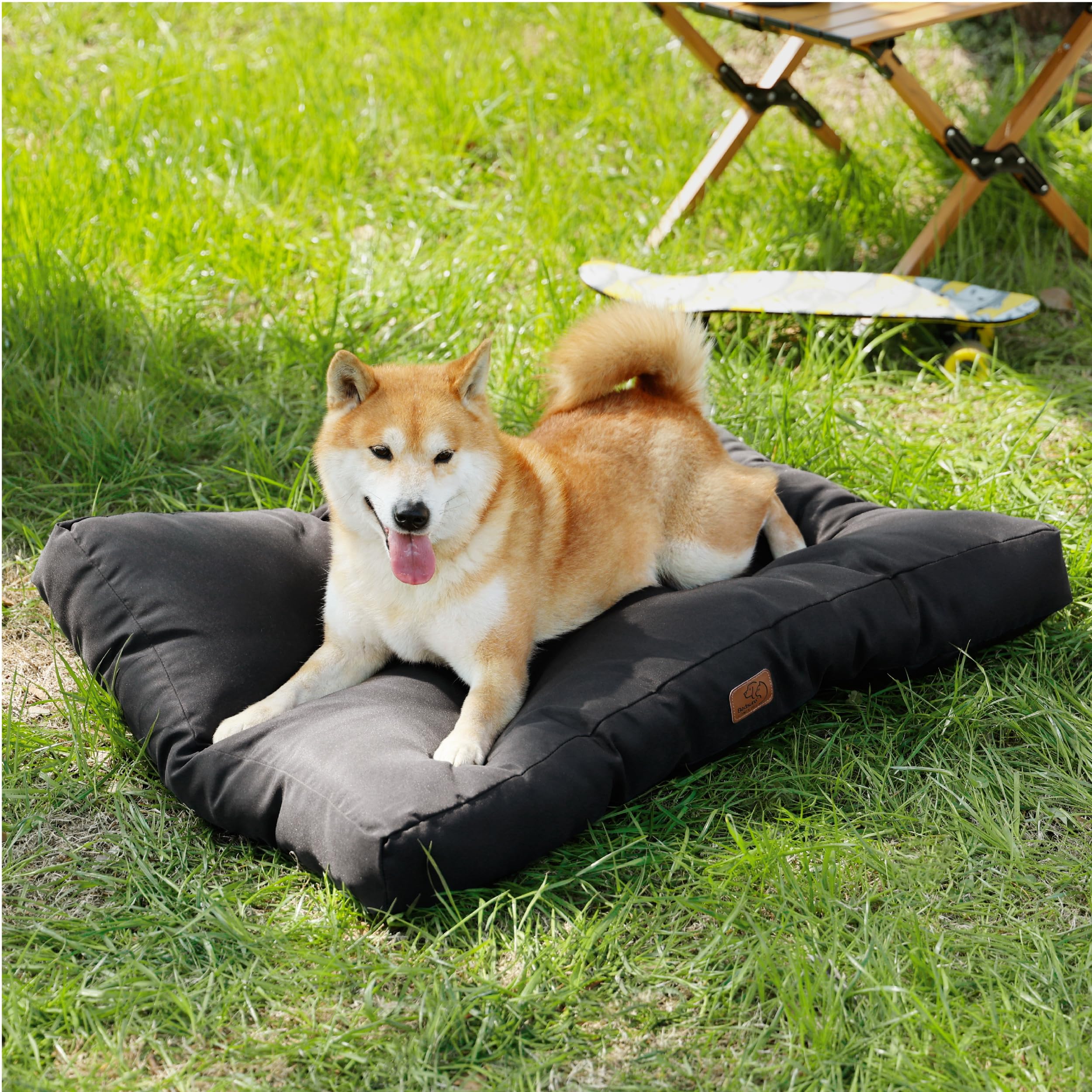 Bedsure Cuscino Per Cane Piccolo - Cuscini per Cani Taglia Piccola Tappeto Cane Cuscino Cane Interno Cuscino Cuccia Cane Impermeabile 76x50 cm Nero Lavabile