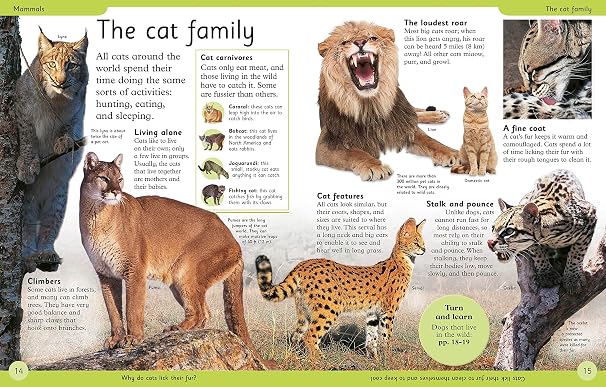 First Animal Encyclopedia: A First Reference Guide to the Animals of the World