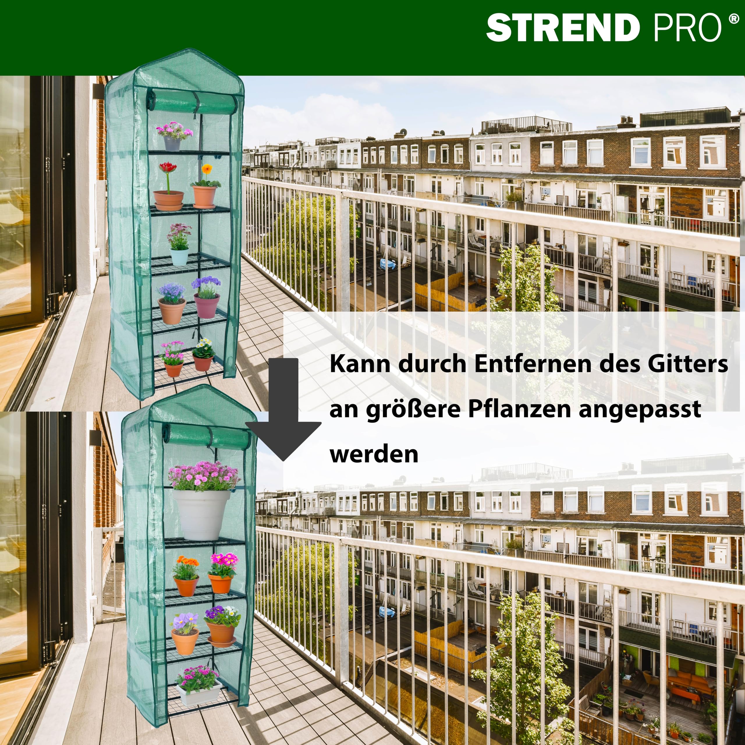 STREND PRO Gewächshaus klein 200 x 69 x 49 cm für optimales Pflanzenwachstum, Mini-Gewächshaus mit 5 Ebenen, inkl. Gewächshausfolie, grünes Gewächshaus, Balkonfolie, Gewächshaus, winterfest