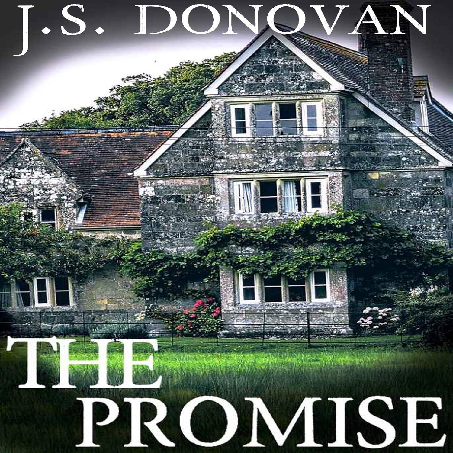 J.S. Donovan The Promise