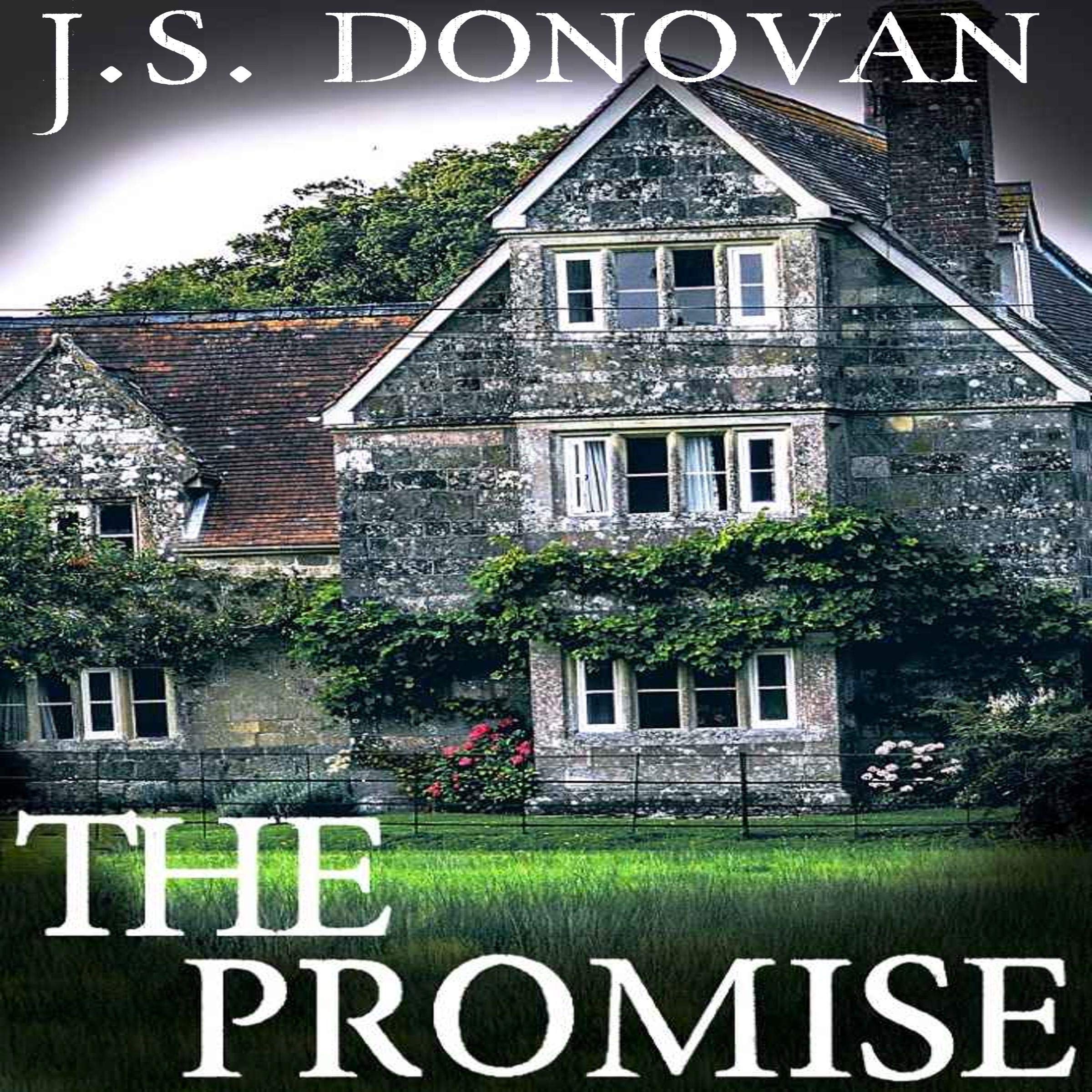 Cover art for The Promise