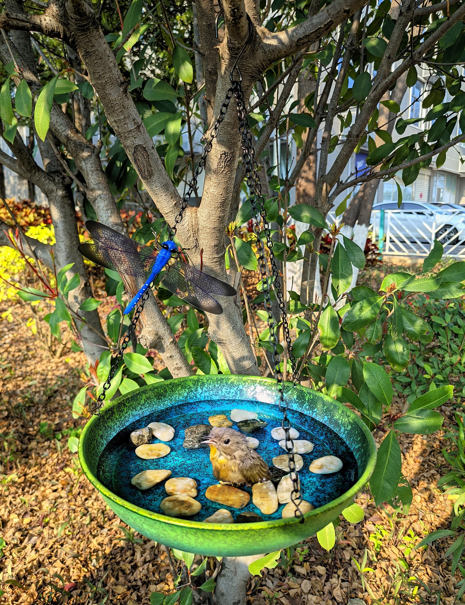Baño colgante para pájaros para exteriores, comedero colgante de metal, comedero para pájaros, pintado a mano, degradado azul y verde, 11 pulgadas, para que los pájaros se bañen y beban para patio