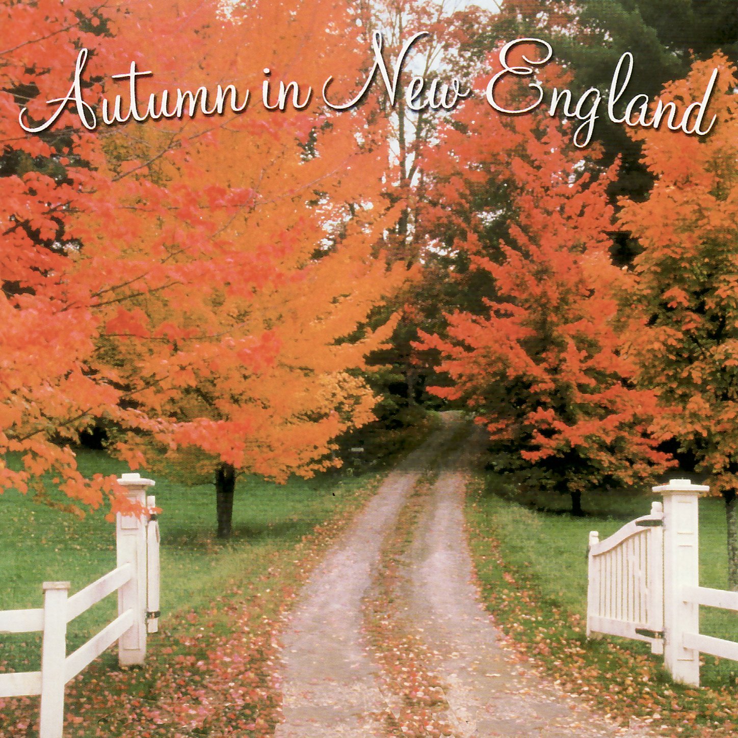 Autumn in New England Players