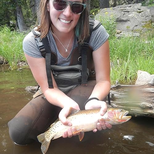 Miniatura 51 de Panther Martin Fishing Lures 6-Pack All Time Greatest Fish Catcher World Famous Spinning Lures in Value Kit Spinners for Trout, Salmon, Panfish