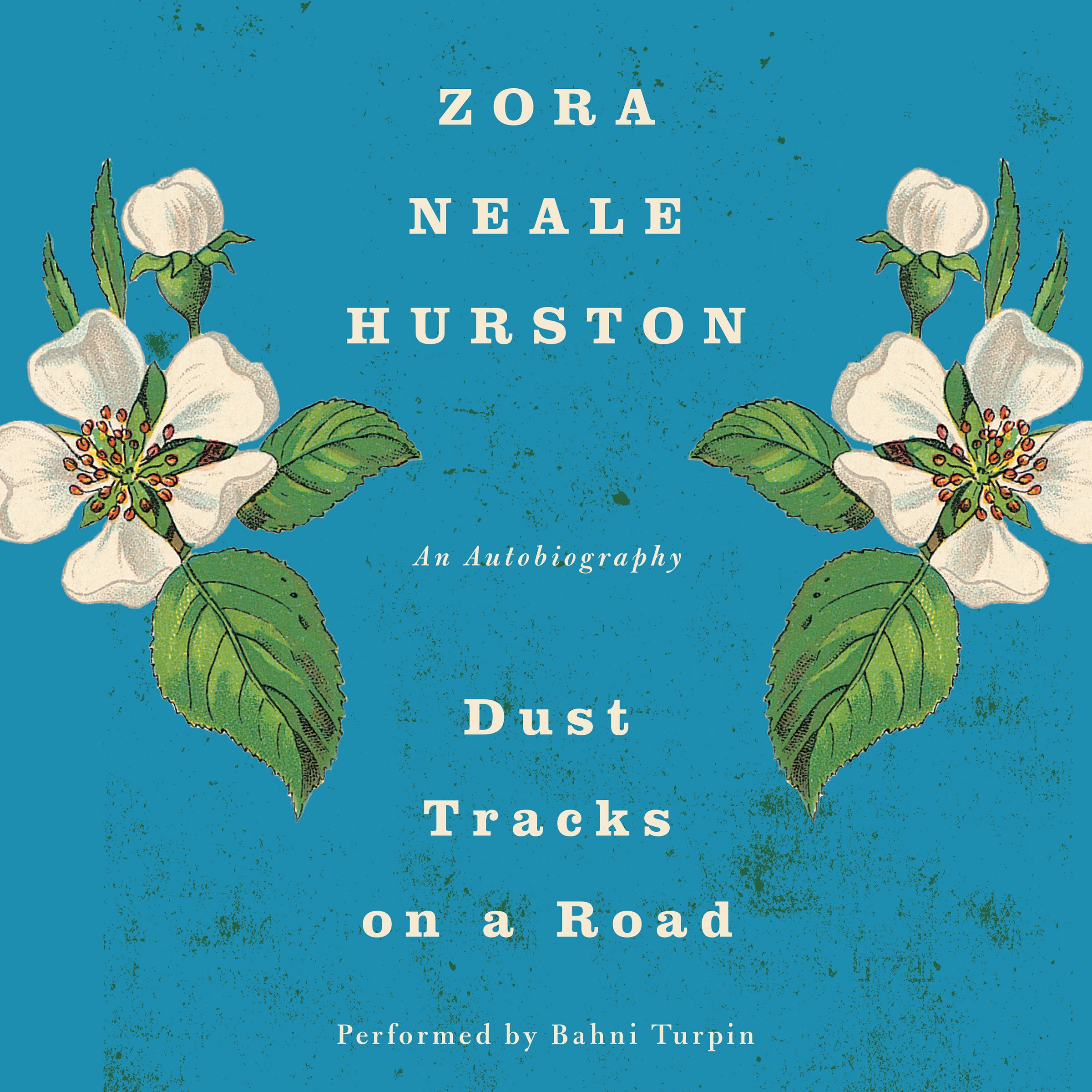 Cover art for Dust Tracks on a Road