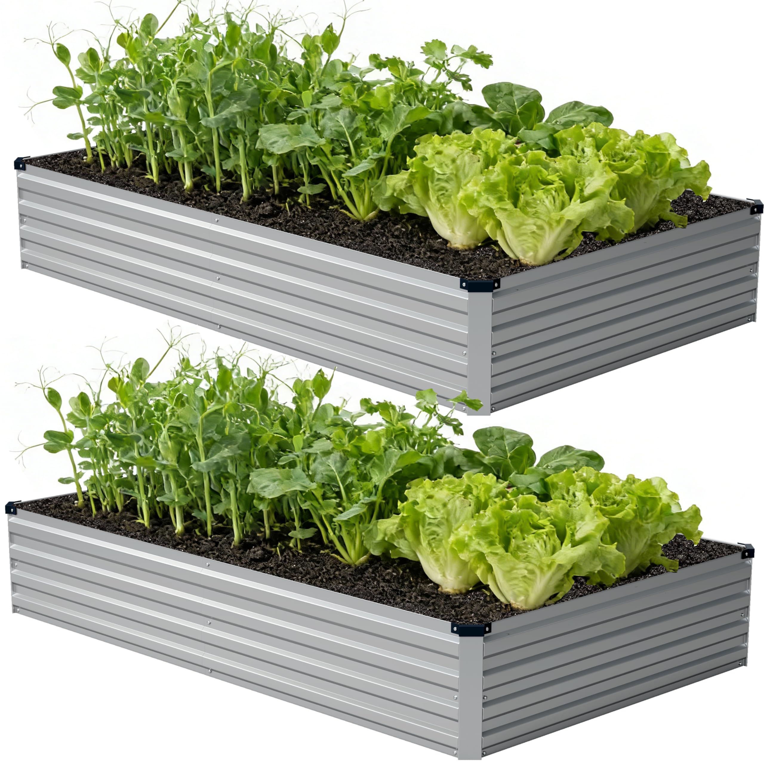 Amazon.com: zunatu 8x4x1 ft(2 Pack) Galvanized Raised Garden Bed