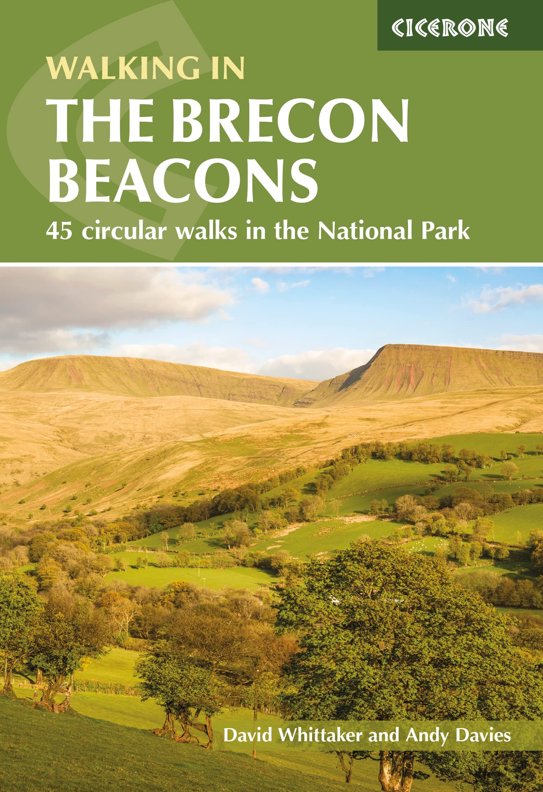 Walking in the Brecon Beacons: 45 circular walks in the National Park (Cicerone Walking Guides)