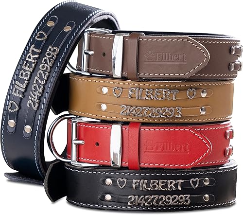 Filbert Collar de perro de cuero personalizado con nombre, collar de perro de cuero genuino con placa de nombre, personalizado, calidad de primera