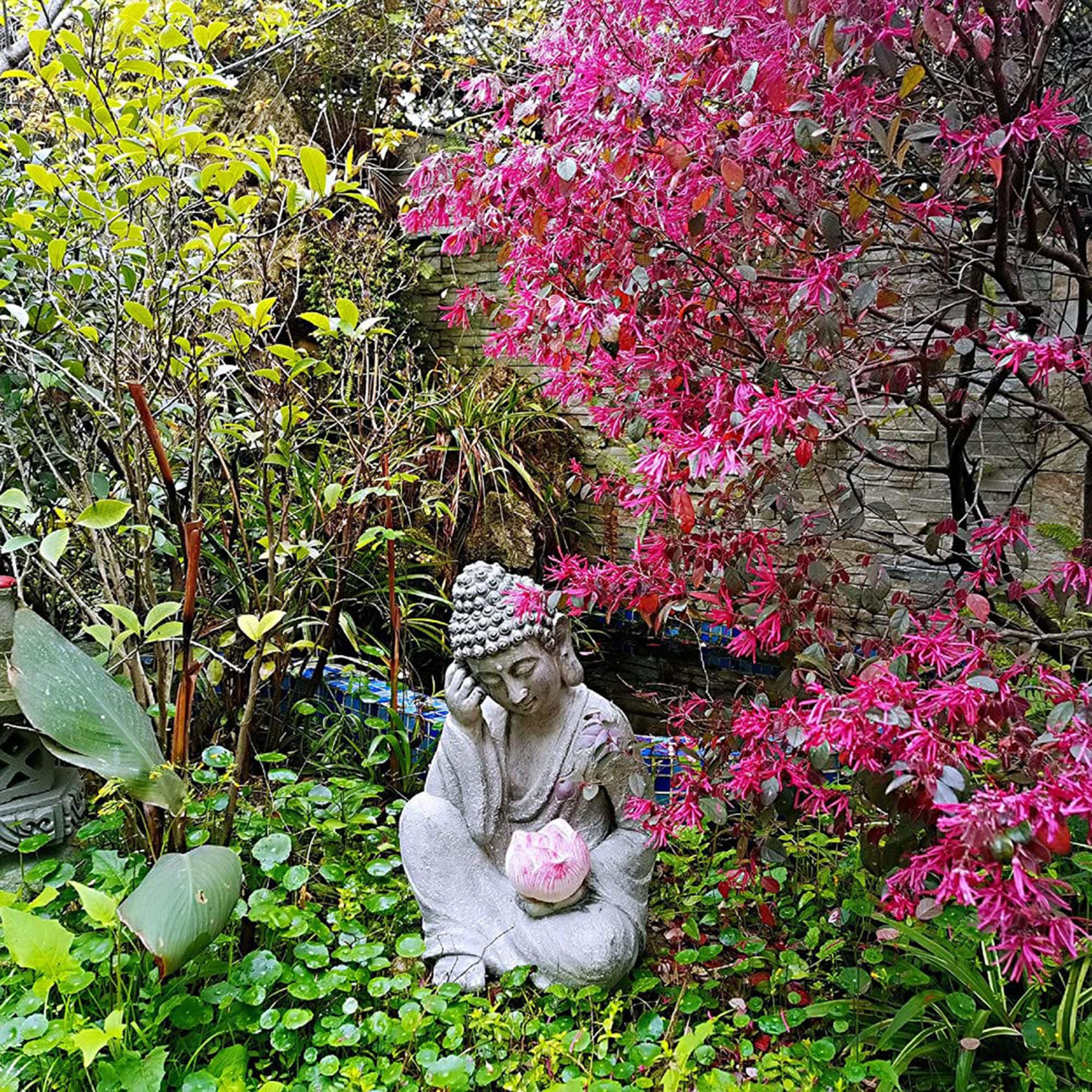 Estatua de Buda, escultura meditativa solar LED para jardín, patio, entrada del hogar, figura de Sakyamuni sentado orando, decoración al aire libre, acento tranquilo