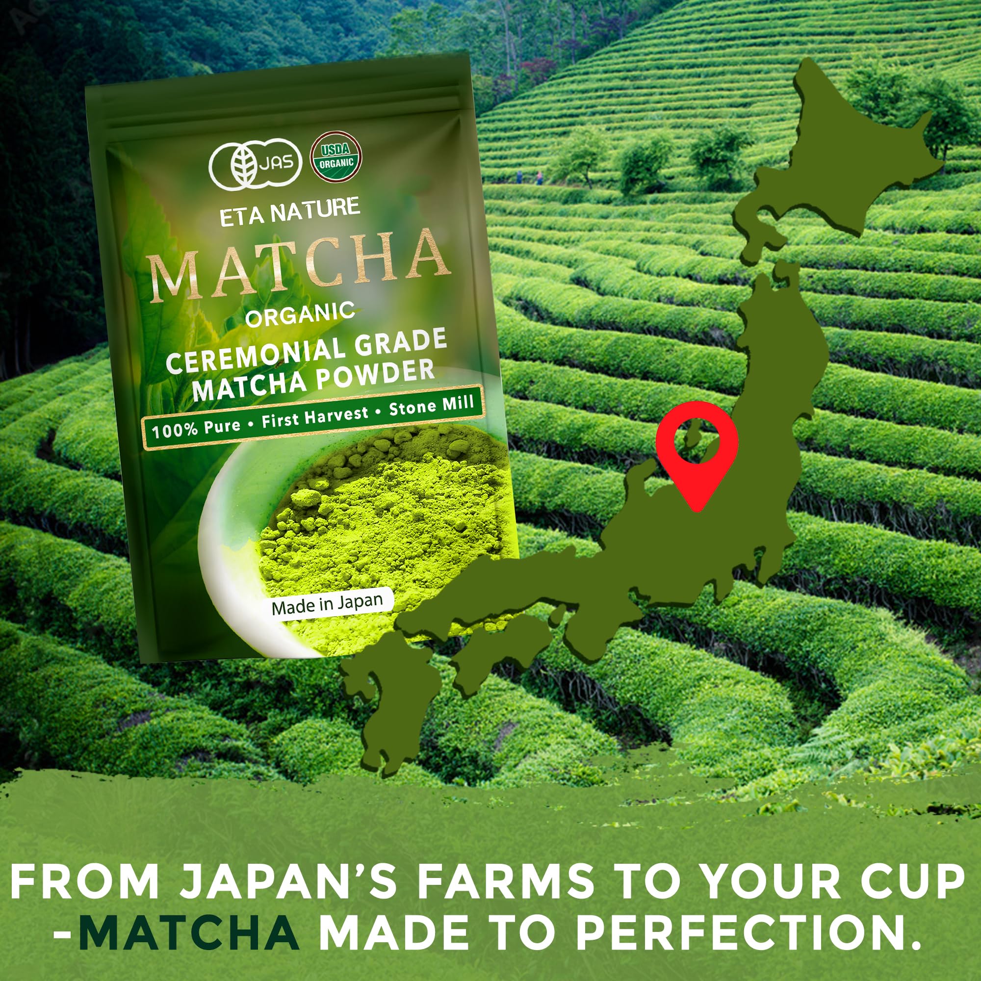 ETANATURE Premium Ceremonial Grade Matcha Powder - Matcha Green Tea Powder for Metabolism Brain and Sleep - JAS — view 6
