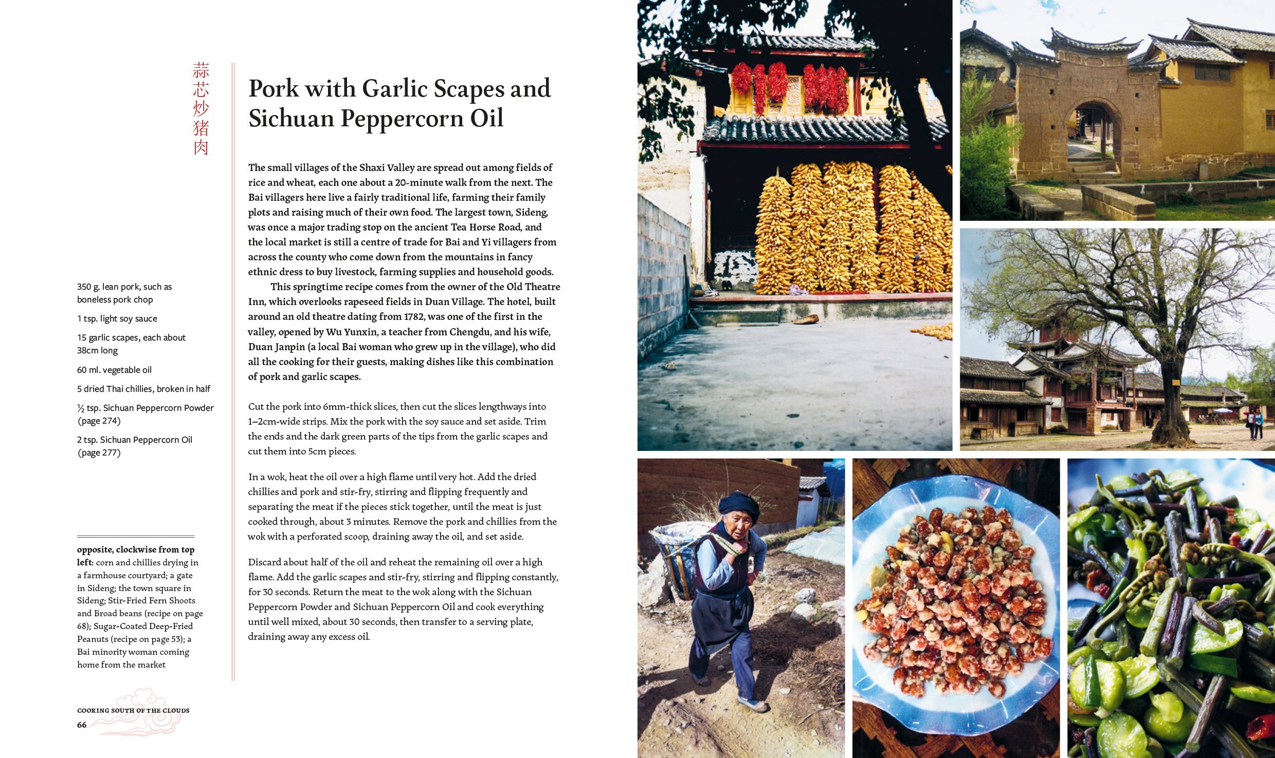Cooking South of the Clouds: Recipes and Stories from China's Yunnan Province